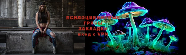 метадон Белокуриха
