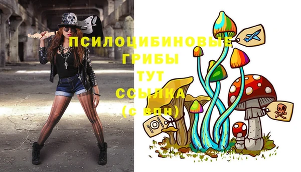 тгк Балахна