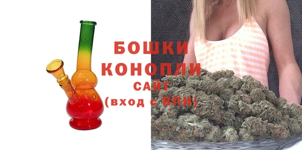 метадон Белокуриха