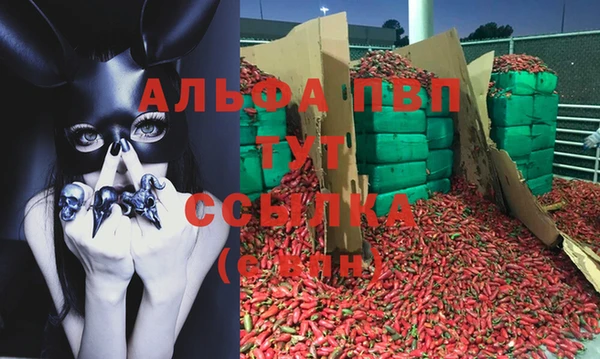 метадон Белокуриха
