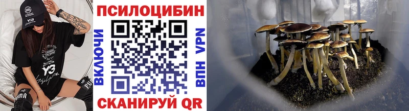 Галлюциногенные грибы Psilocybine cubensis  МЕГА ссылки  Кстово 
